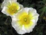 IMG_3794small.jpg